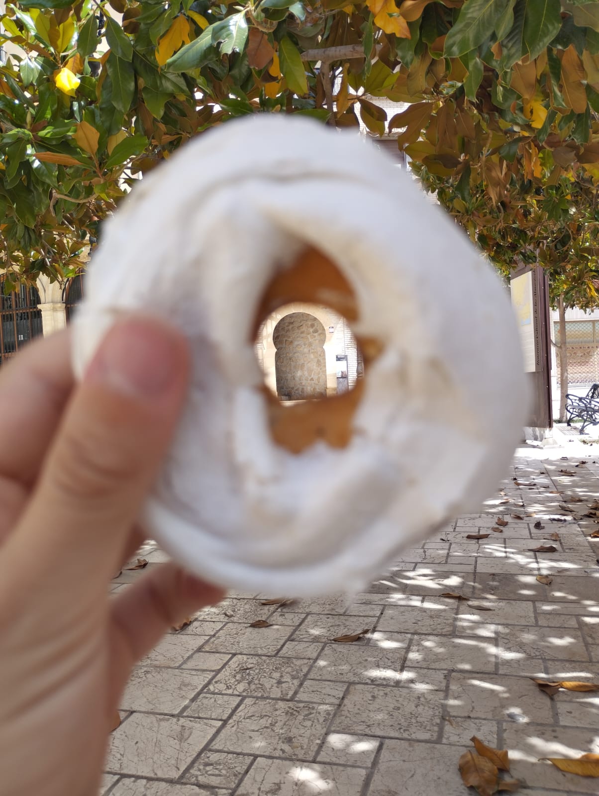 PREMIO PATRIMONIO CULTURAL HELENA ARELLANO MUÑOZ.jpg